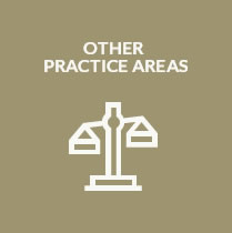 practice-areas-image-06